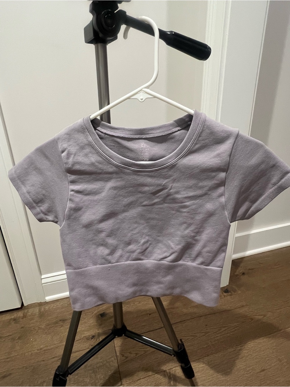 Women’s Aerie Lilac Short-Sleeve Cropped Tee-Size XS